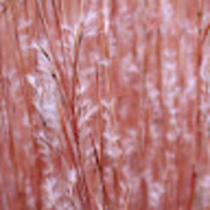 Meet your Posher, Terrance